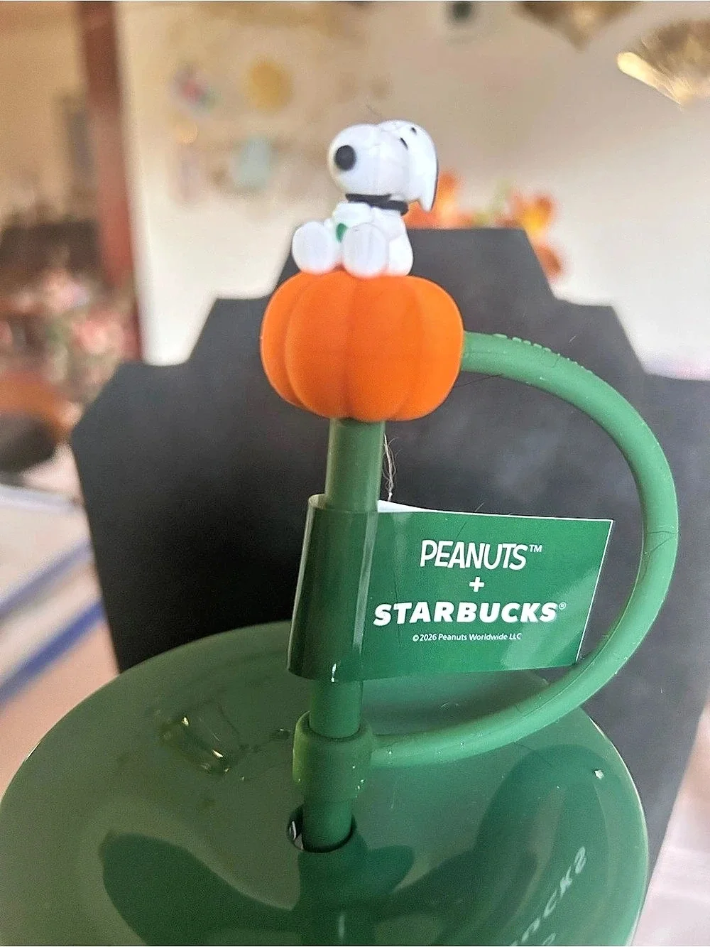 Starbucks Peanuts x Starbucks Tumbler 24 oz. Clear w/straw and topper Snoopy Gre